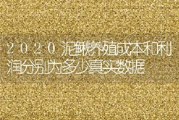 2020泥鳅养殖成本和利润分别为多少真实数据