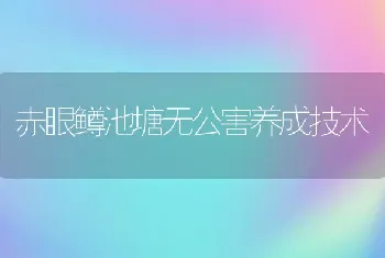 赤眼鳟池塘无公害养成技术