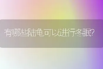 有哪些陆龟可以进行冬眠？