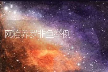 网箱养罗非鱼举例