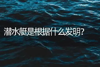 潜水艇是根据什么发明？