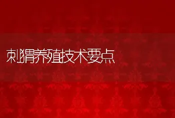 刺猬养殖技术要点