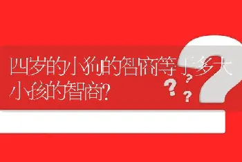 四岁的小狗的智商等于多大小孩的智商？