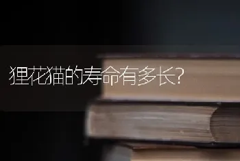 小狗气喘，然后干呕？