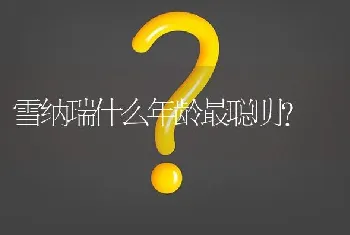 雪纳瑞什么年龄最聪明？