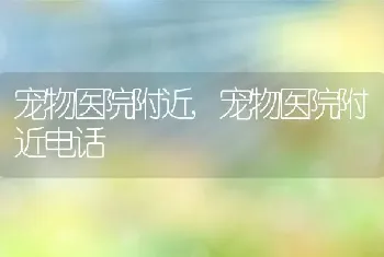 宠物医院附近，宠物医院附近电话