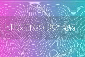 七种以草代药可防治兔病