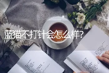 蓝猫不打针会怎么样？