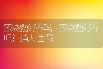 蜜袋鼯好养吗，蜜袋鼯好养吗？通人性吗？