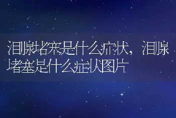 泪腺堵塞是什么症状，泪腺堵塞是什么症状图片