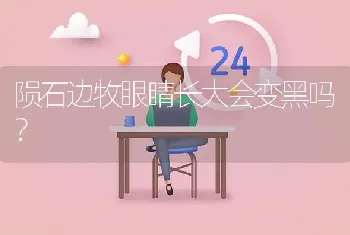 陨石边牧眼睛长大会变黑吗？