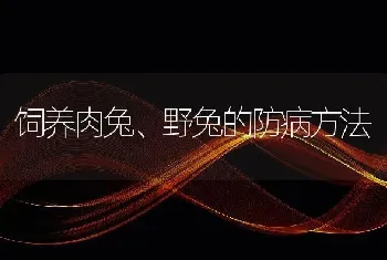 饲养肉兔、野兔的防病方法