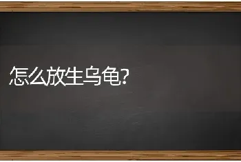 买来的中华草龟整天躲起来，还不吃东西是怎么回事？