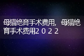 母猫绝育手术费用，母猫绝育手术费用2022