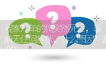 我家7年的狗突然死亡，事前无任何症状，什么原因？谢谢？