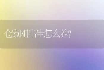 仓鼠刚出生怎么养？