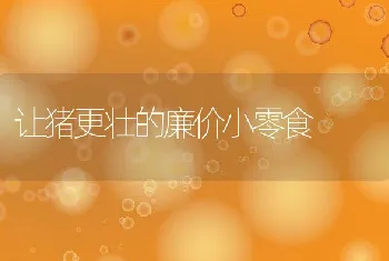 中西医结合治疗狐狸真菌与螨虫的混合感染