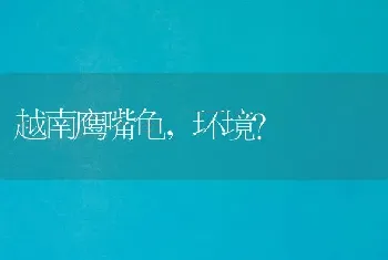 越南鹰嘴龟，环境？