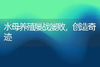 水母养殖屡战屡败，创造奇迹