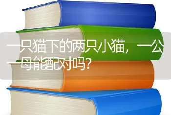 伊泽瑞尔狗粮是国产的吗？