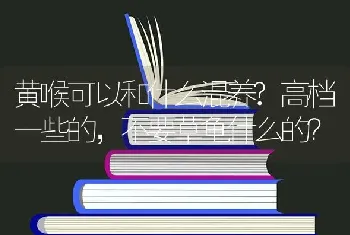 黄喉可以和什么混养?高档一些的，不要草龟什么的？