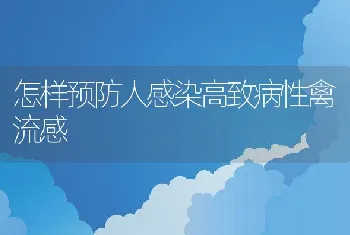 怎样预防人感染高致病性禽流感