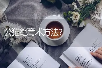 公猫绝育术方法？