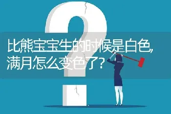 比熊宝宝生的时候是白色,满月怎么变色了？