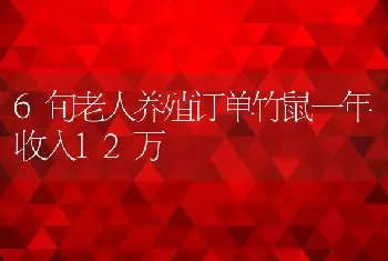 6旬老人养殖订单竹鼠一年收入12万