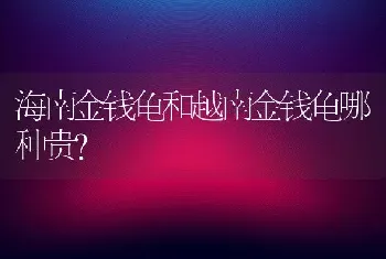 银渐层猫为什么那么贵？