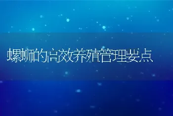 螺蛳的高效养殖管理要点