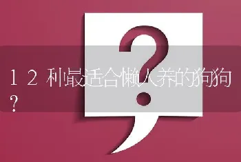 12种最适合懒人养的狗狗？