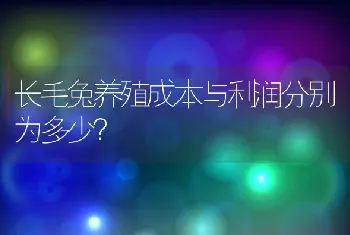 长毛兔养殖成本与利润分别为多少？