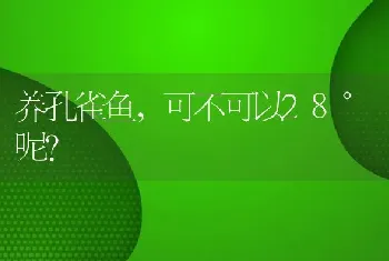 养孔雀鱼，可不可以28°呢？