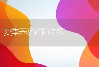 科学配对提高养鸽效益