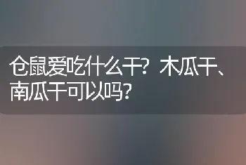 什么鹦鹉鱼品种好最珍贵？