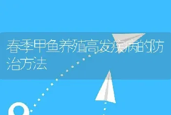 春季甲鱼养殖高发疾病的防治方法