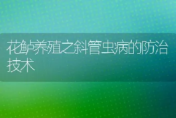 花鲈养殖之斜管虫病的防治技术