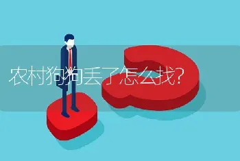 农村狗狗丢了怎么找？