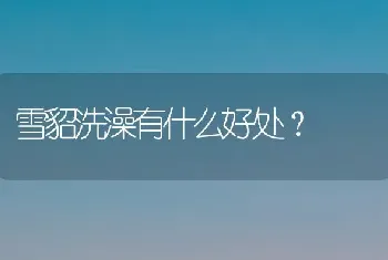 雪貂洗澡有什么好处？