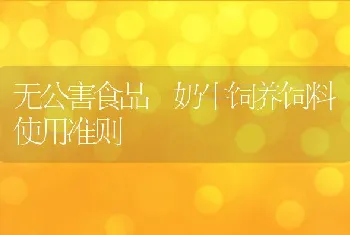 无公害食品奶牛饲养饲料使用准则