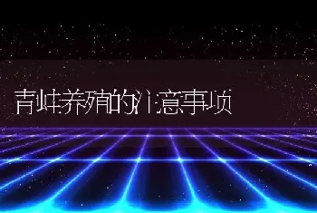 青蛙养殖的注意事项