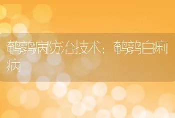 秋季培育鱼种技术要点