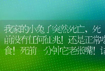 我家的小兔子突然死亡，死前没有任何征兆！还是正常吃食！死前一分钟它老张嘴！请问是什么原因？谢~？