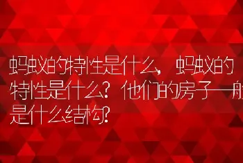 蚂蚁的特性是什么，蚂蚁的特性是什么？他们的房子一般是什么结构？