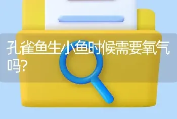 孔雀鱼生小鱼时候需要氧气吗？