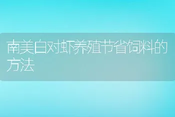 南美白对虾养殖节省饲料的方法