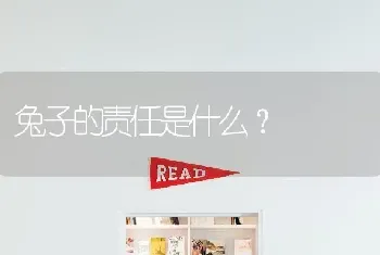 兔子的责任是什么？