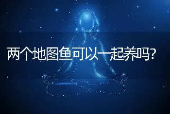 两个地图鱼可以一起养吗？