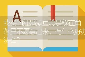 我买的红鹦鹉鱼总是躲在角落里不愿意出来，有什么好办法么？